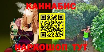 сатива Кингисепп