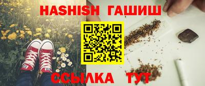 сатива Кингисепп