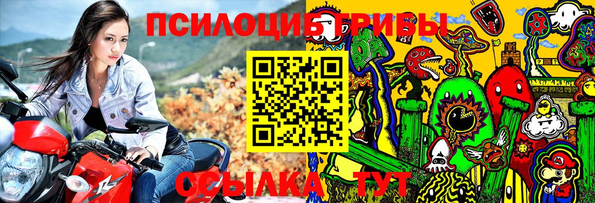 Галлюциногенные грибы мицелий  как найти   Курчалой  Вход с VPN 