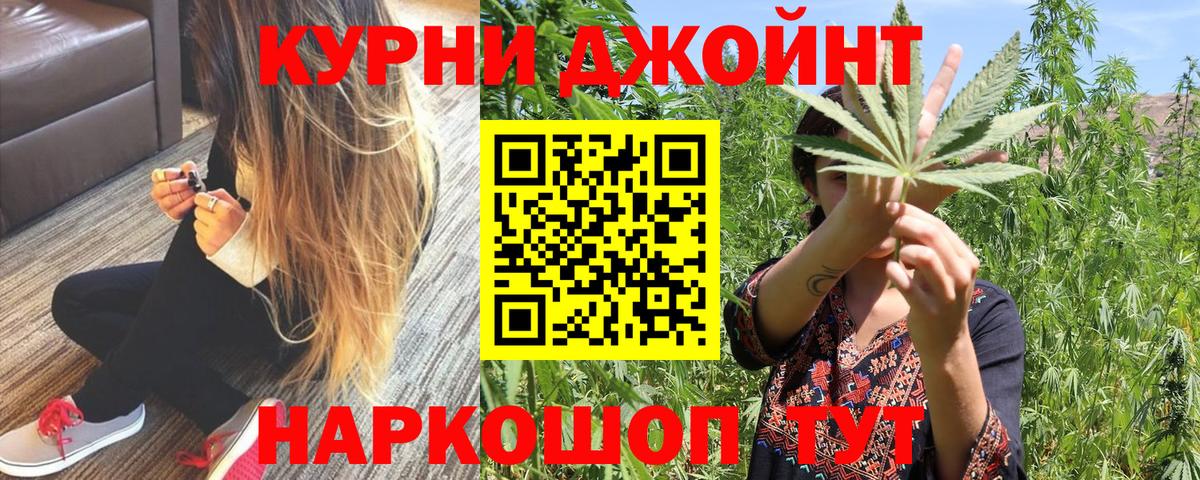 Курчалой  Канабис конопля  Вход с VPN  Бошки Шишки MAZAR  Канабис OG Kush 